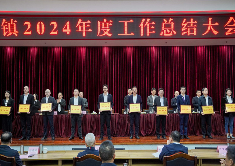 双项殊荣！狗万官网电声荣登石排镇2024年度“双十强”榜单